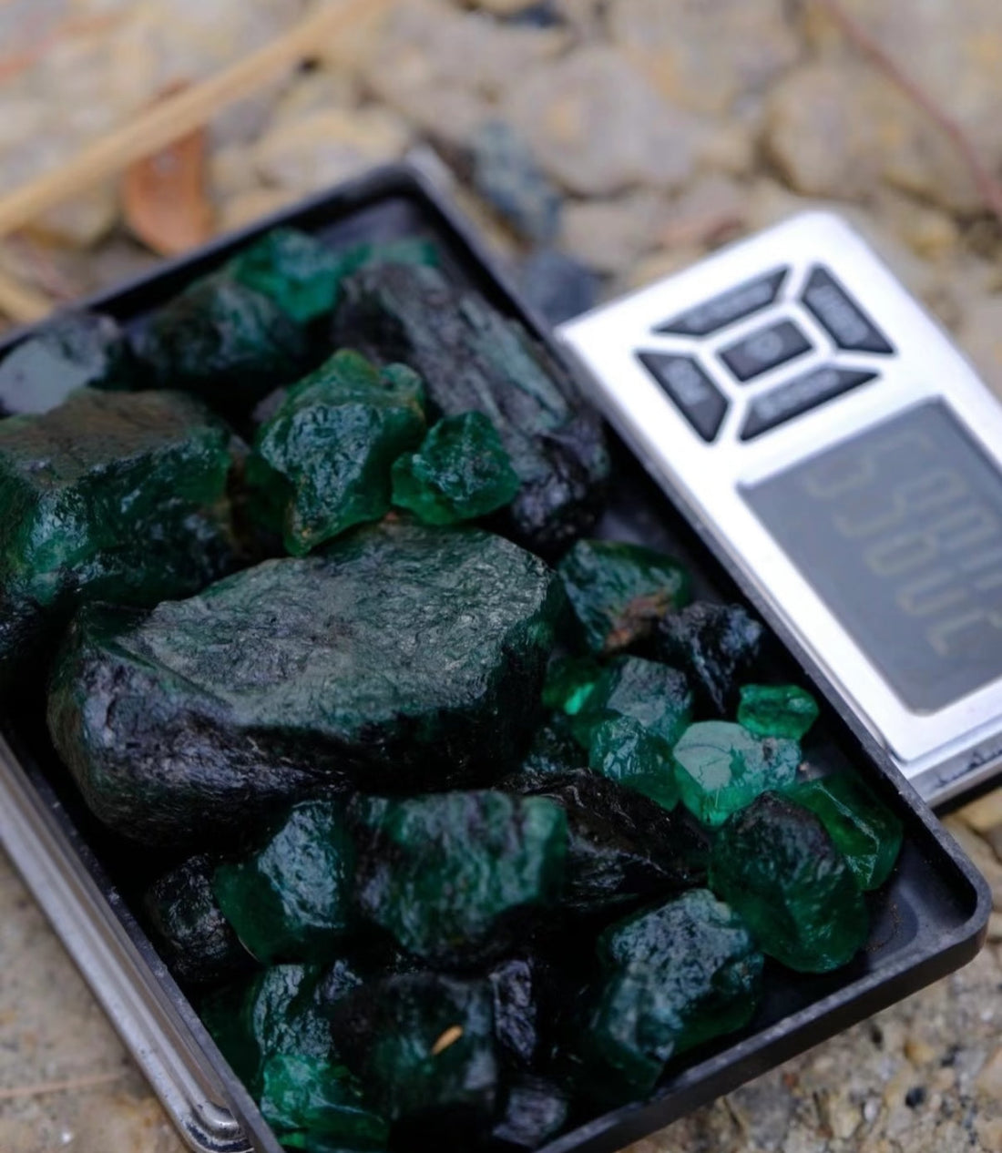 A Stone's Journey Around the World: Our Five Elements Stone Diary